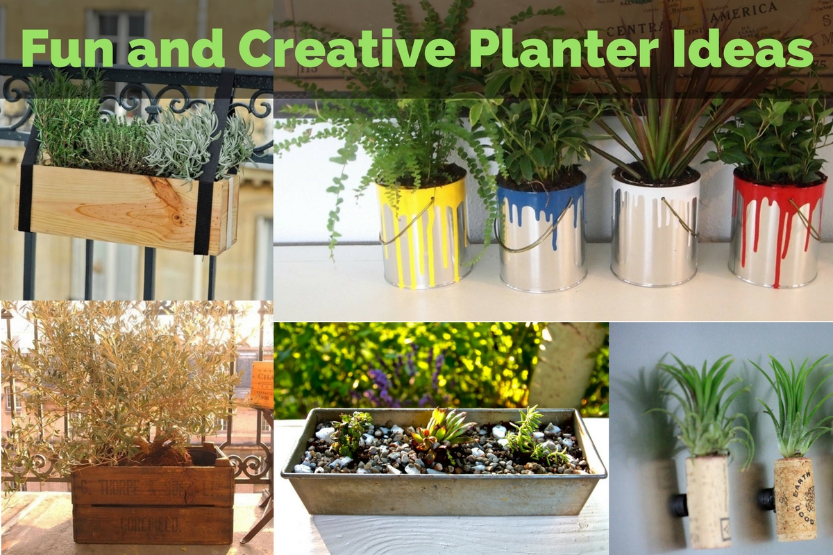 Fun and Creative Planter Ideas